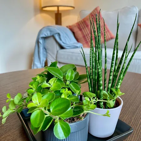 City-Apartment, 2 Schlafzimmer, Parkhaus 150 M