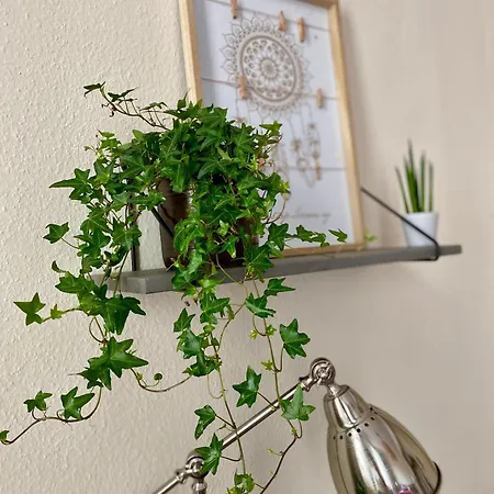 City-Apartment, 2 Schlafzimmer, Parkhaus 150 M ויסבאדן