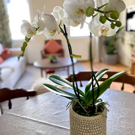 Appartement Ba Em